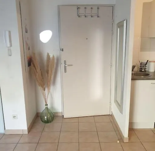 Appartement L' Du Quai Neuf Parking Privé - Gare à 5min Béziers